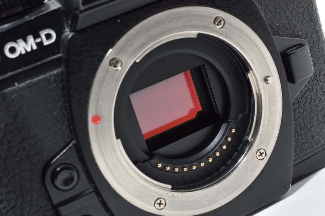 Olympus OM-D E-M1 ボディ