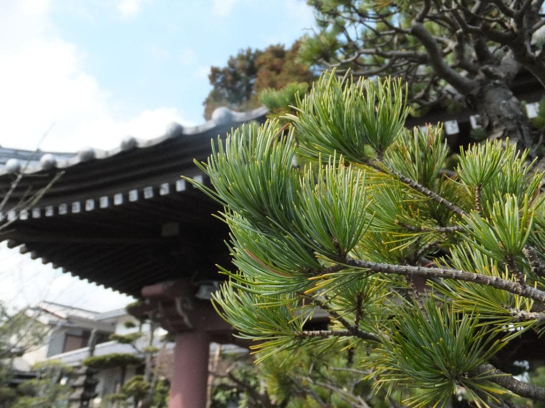 実写良⭕️【動作確認済】FUJIFILM FinePix F800EXR