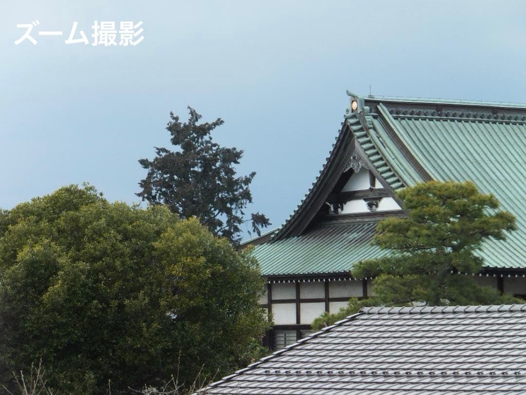 実写良⭕️【動作確認済】FUJIFILM FinePix F800EXR