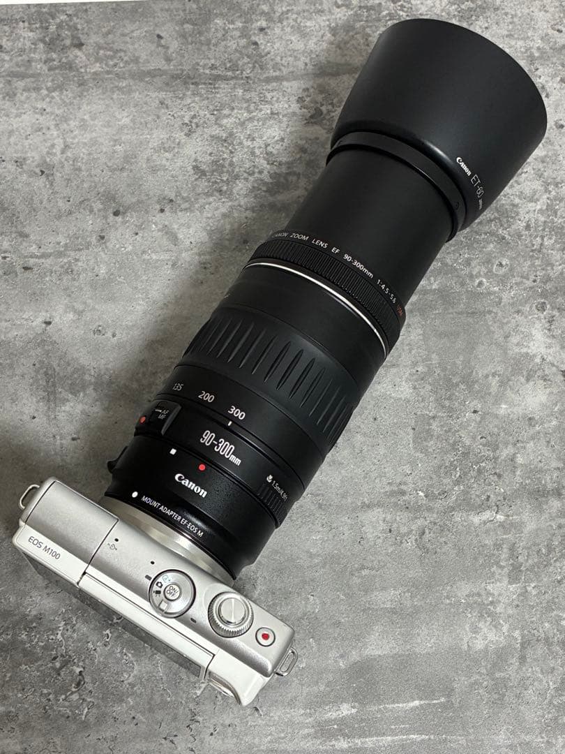⭐️美品⭐️Canon EF90-300 USM & EF-EOS M アダプター