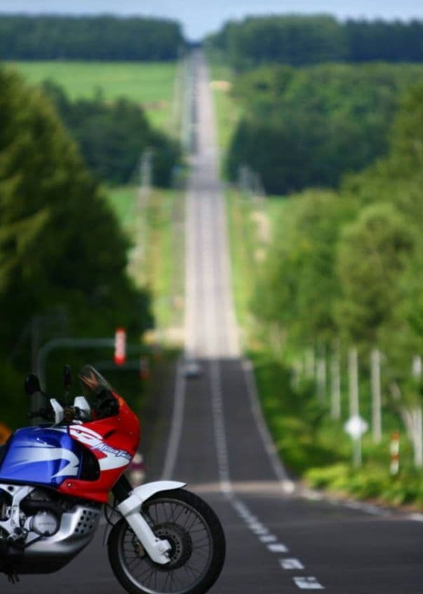 user_18bf0ba5様CANON　EOS　Kiss　400D 広角から
