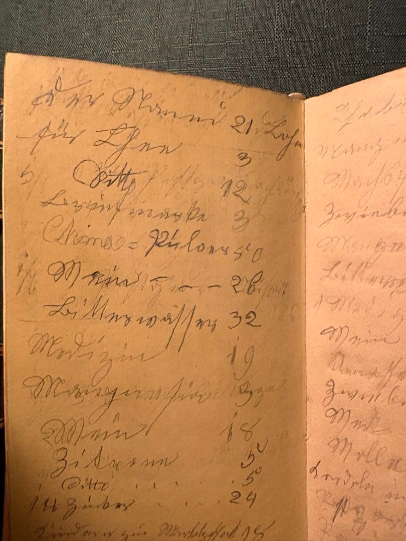 アンティーク、プチポワン（Petit Point）の手帳1820-1830頃製作