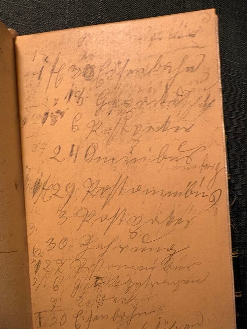 アンティーク、プチポワン（Petit Point）の手帳1820-1830頃製作