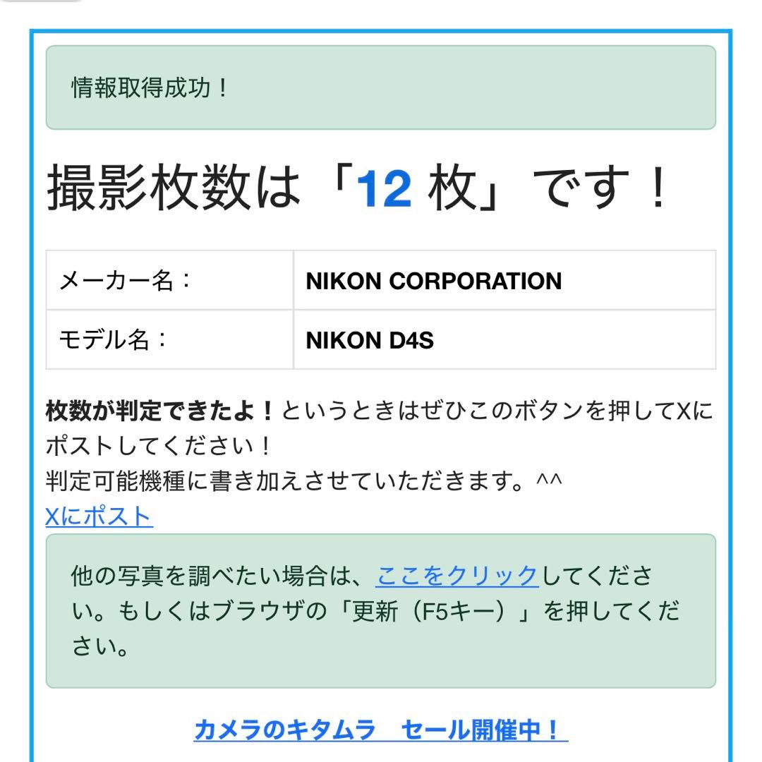 Nikon D4s <シャッター12回>