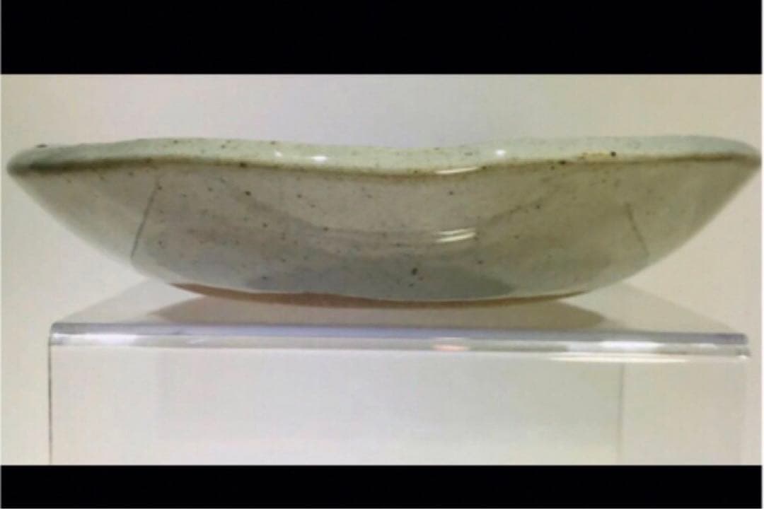SALE！！新品 辻 修窯 丸皿 コスモス がいっぱい 皿 サイン 日本 高級