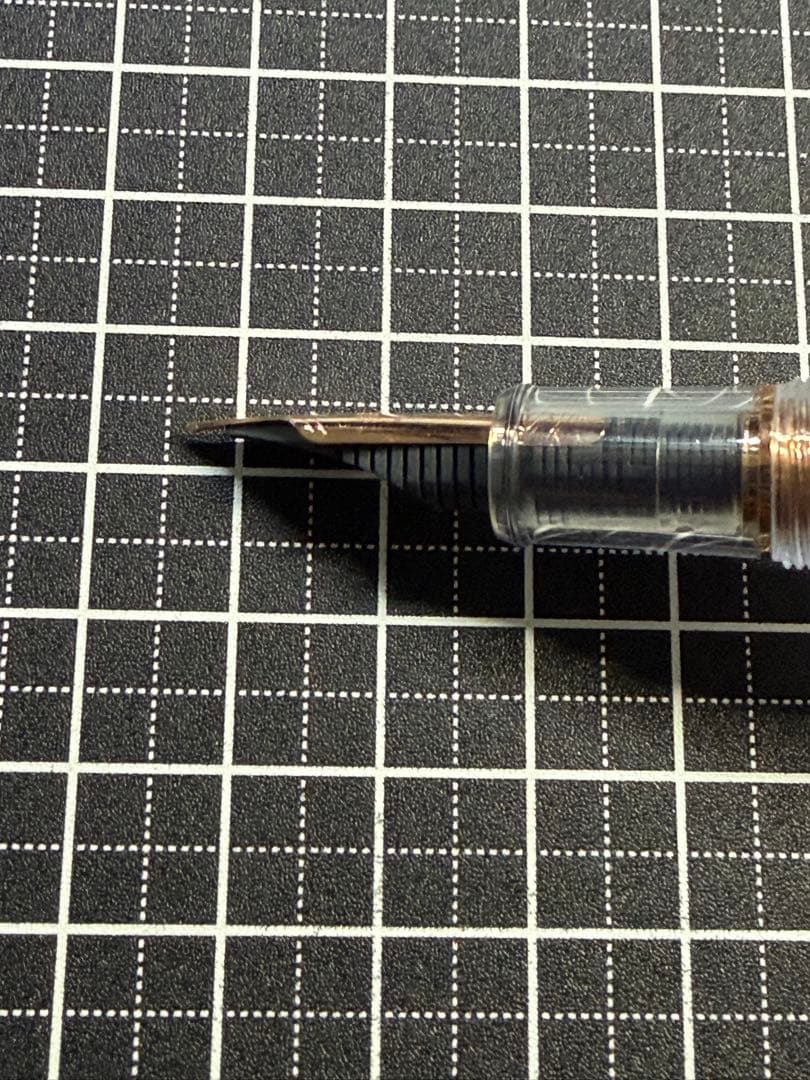 PLATINUM #3776 CENTURY NICE ROSE 万年筆　字幅M