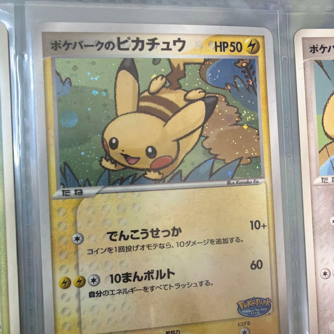 ポケモンカードゲーム ポケパーク限定 フォレストシート 開封済