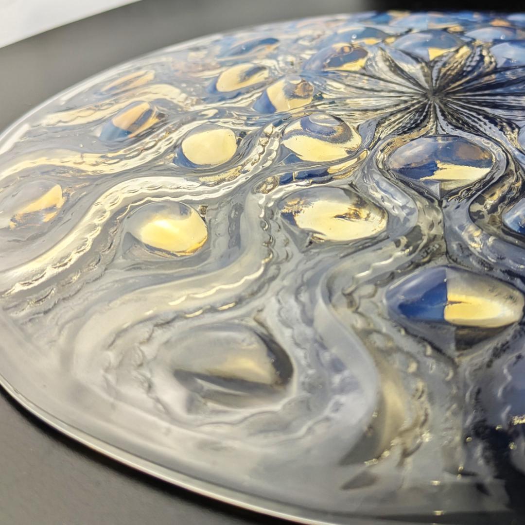 ルネ・ラリック 1935年 Bulbes オパルセント大皿 R.LALIQUE