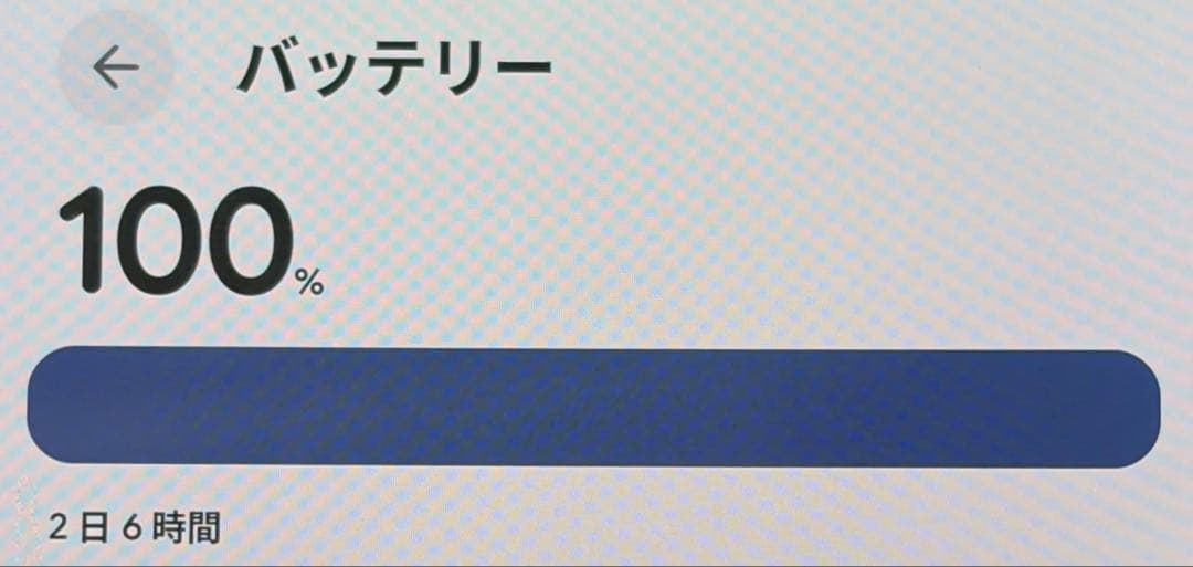 Google Pixel 6a ミントグリーン セージ 本体 強化ガラス2枚付き