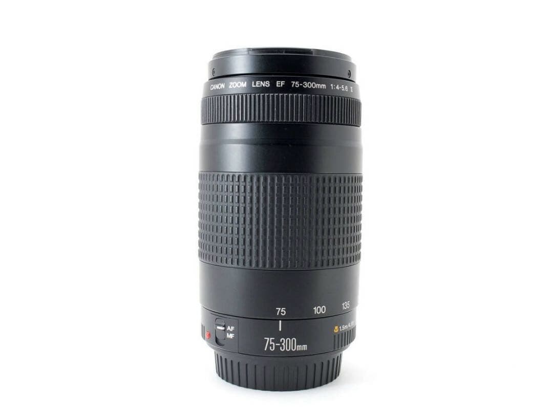 大人気♪【超望遠レンズ】Canon EF 75-300mm Ⅱ