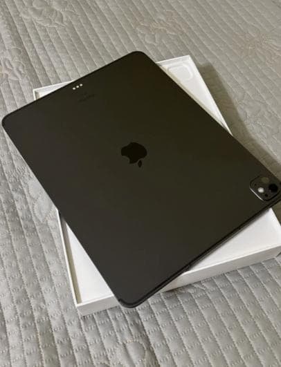 Apple 13インチiPad Pro(M4):256GB、