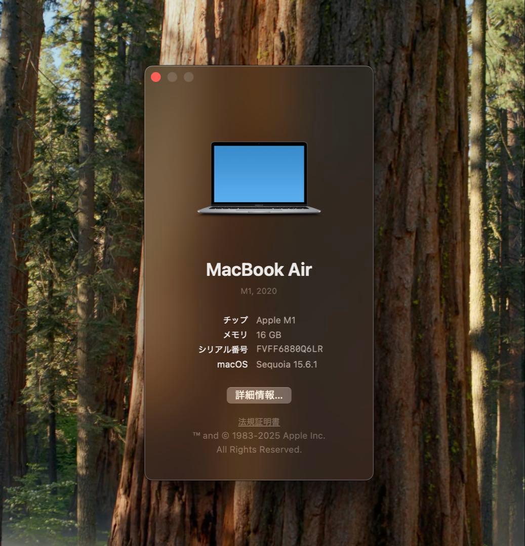 【超美品】16GB256GB スペースグレイMacBookAirM1 2020