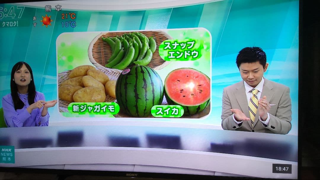 Sony 液晶テレビ 大画面 高解像度