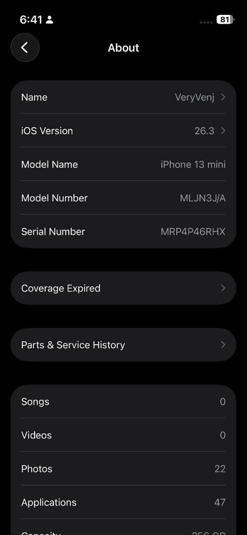 【完品・豪華おまけ付】iPhone 13 mini ブルー 256GB 極美品