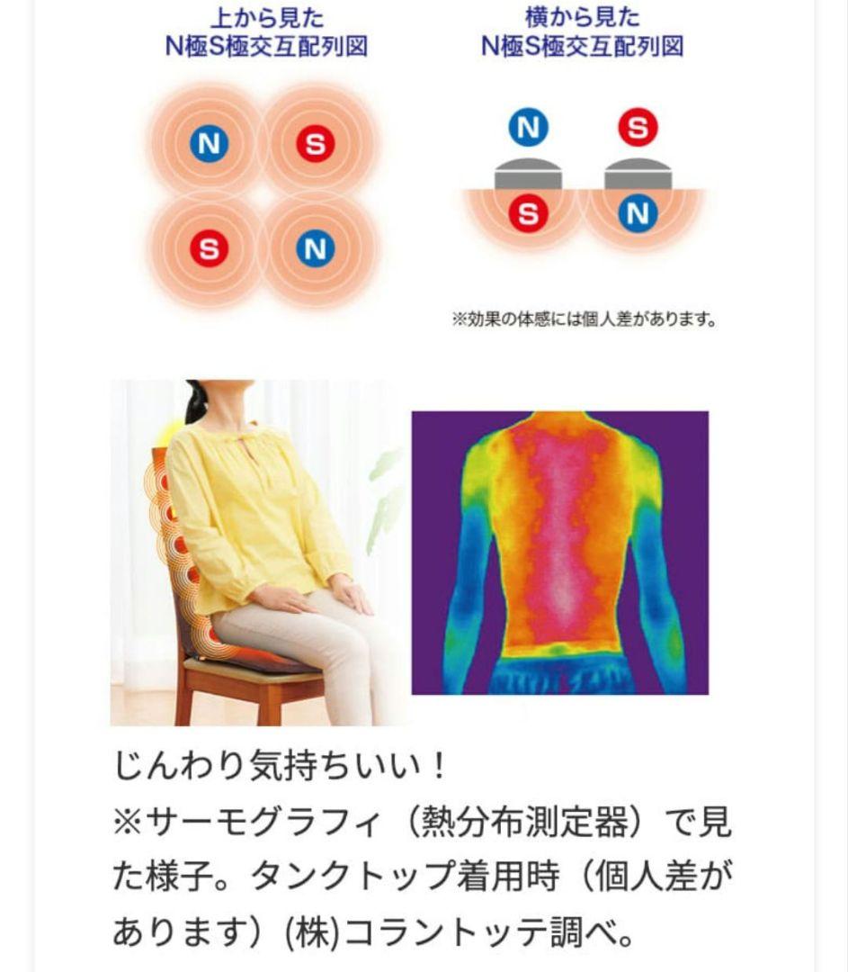 pinto 腰らくII ピントプレミアム 　２大健康ブランド共同企画限定モデル