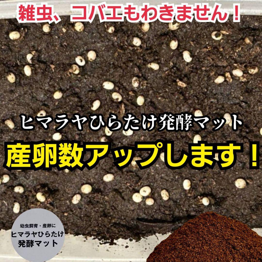 国産カブトムシ８８ミリ羽化実績多数！ネット売上1位！発酵マット【360リットル】