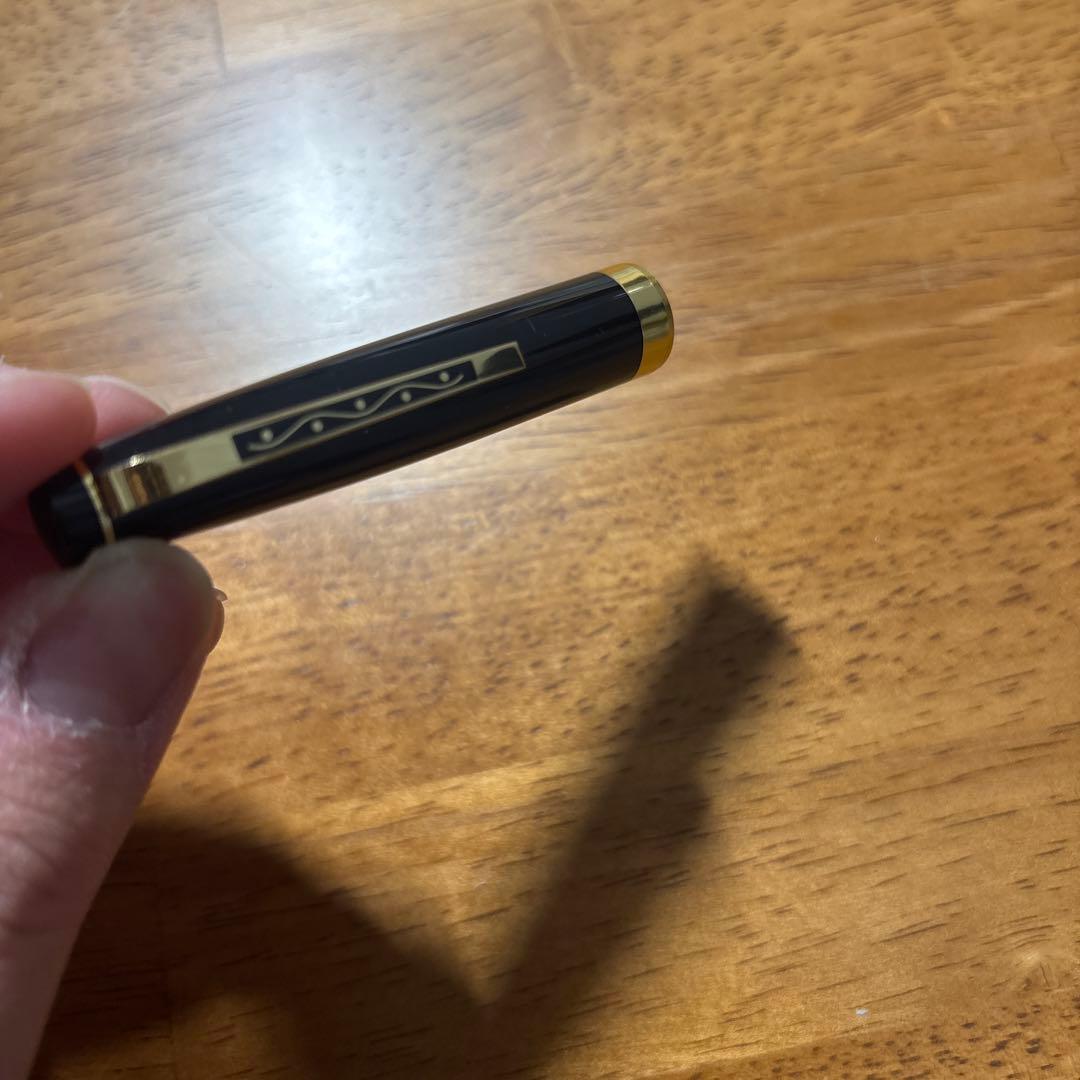 PLATINUM 万年筆 黒 専用ケース付き