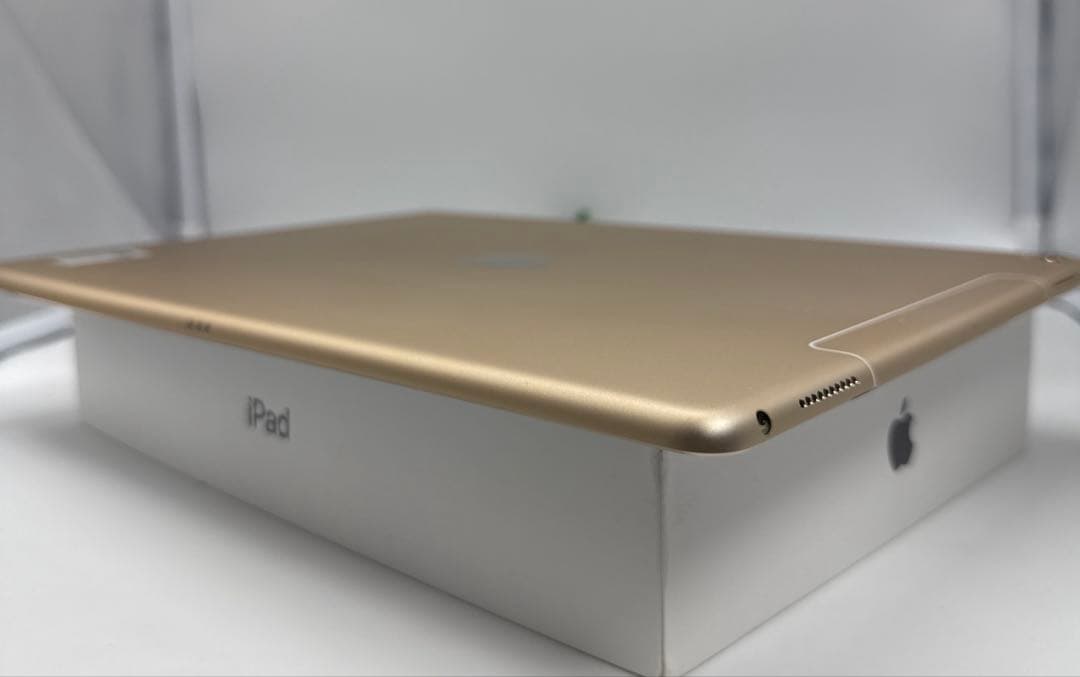 【本日発送】✨シーズー✨ iPad Pro 12.9インチ 第２世代