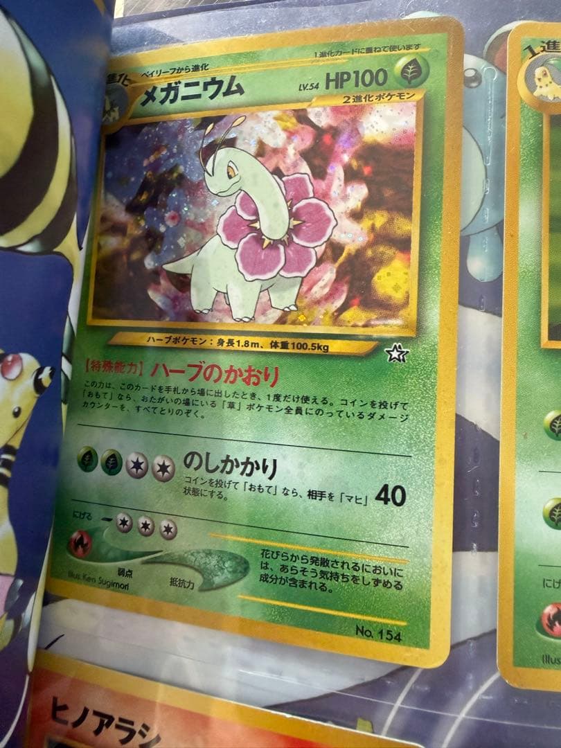 N*o様 プレミアムファイル ポケモンカードneo 金銀発売記念 旧裏