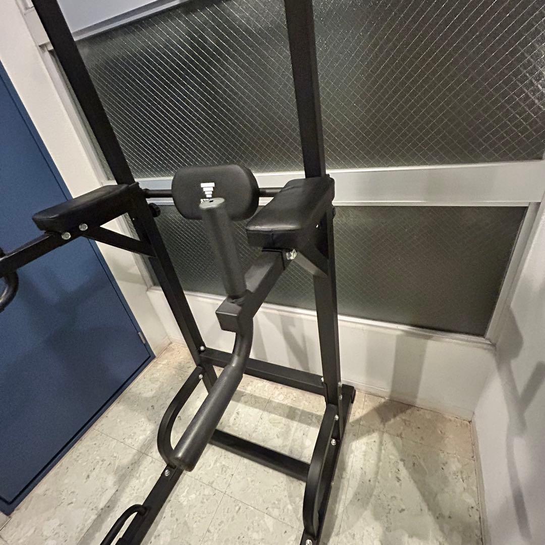 ぶら下がり健康器 耐荷重150kgSTEADY ST115 チンニングスタンド