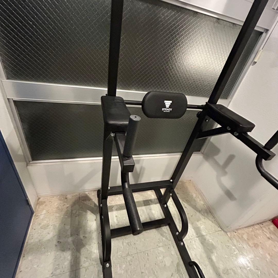 ぶら下がり健康器 耐荷重150kgSTEADY ST115 チンニングスタンド