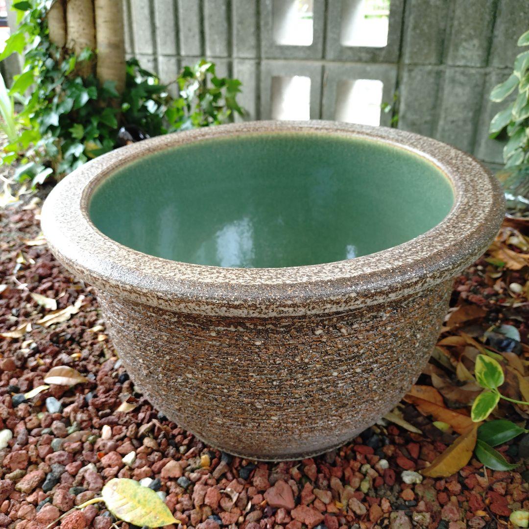 信楽焼　陶器　めだか鉢　睡蓮鉢　39cm