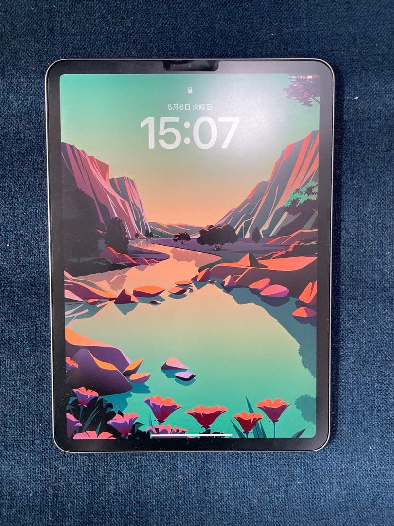 【超美品】iPad Pro 11インチ 256GB スペースグレー+おまけ