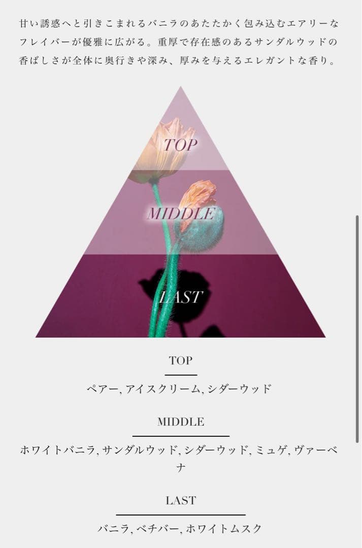 Aiam アイアムチャプター70 香水 50ml