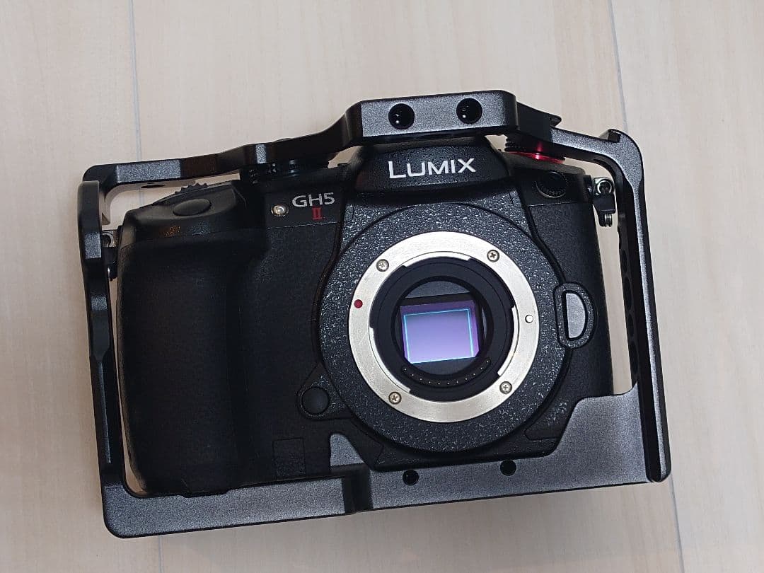 パナソニック LUMIX GH5II DC-GH5M2 SmallRigケージ