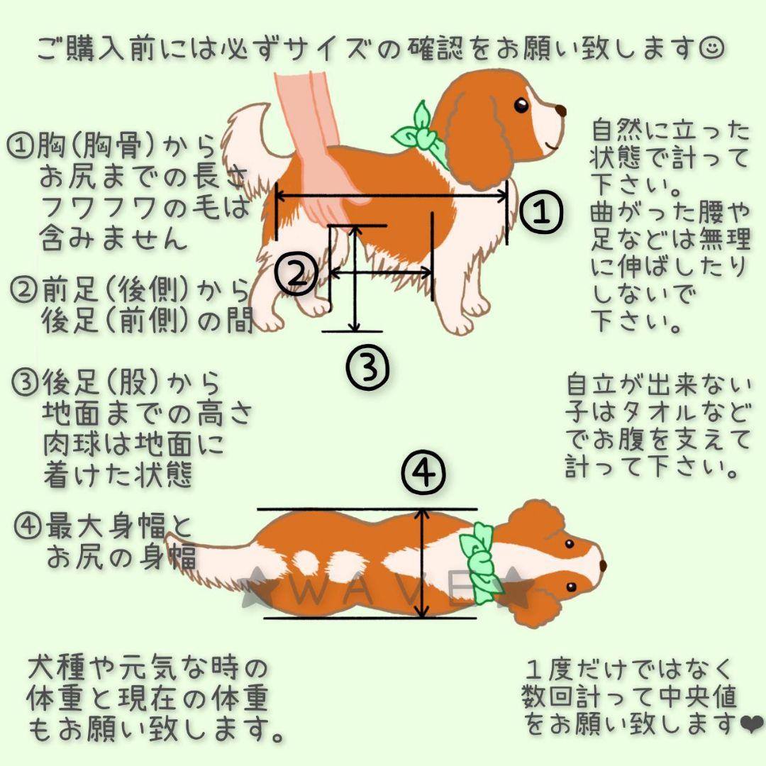(^-^)　犬用車椅子　犬の歩行器　歩行補助　コーギー　犬の車いす　シニア
