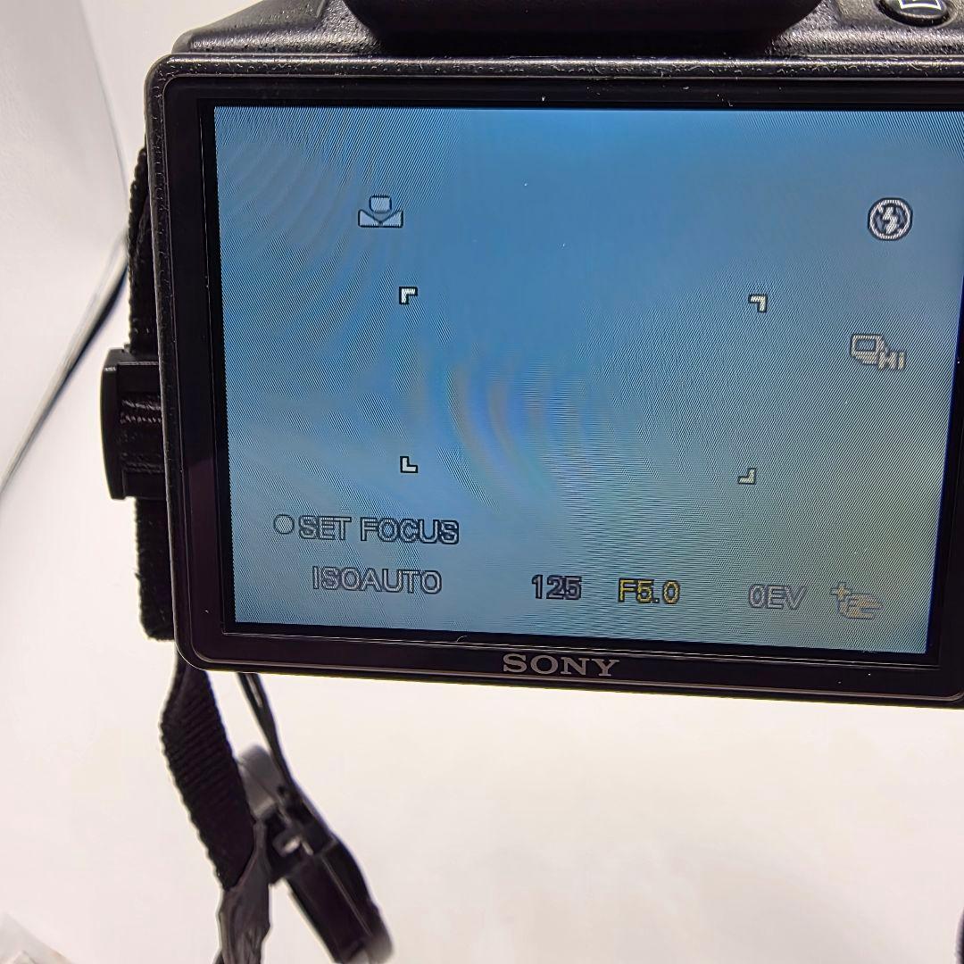 【美品】付属品多数 SONY ソニー Cyber-shot DSC-HX100V