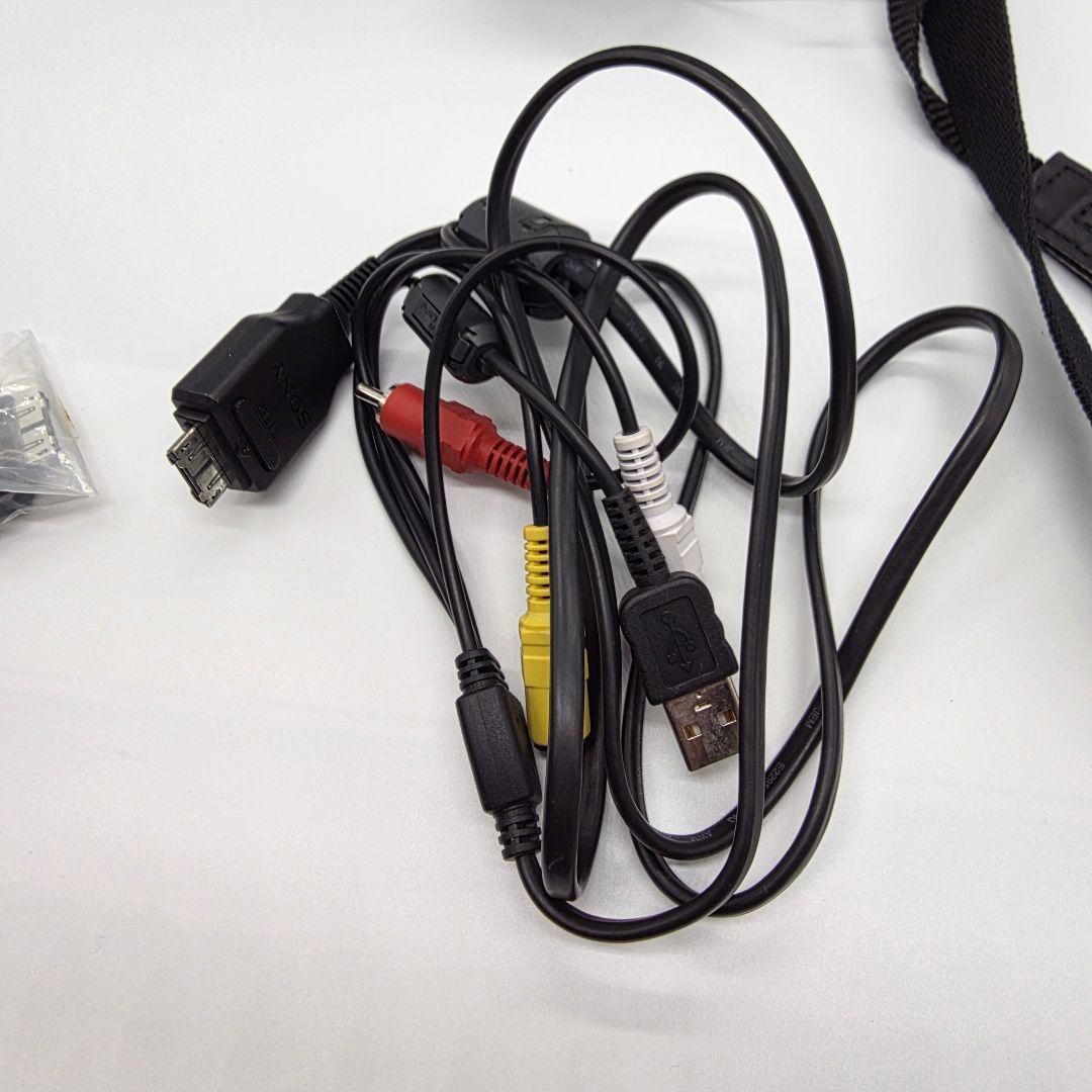 【美品】付属品多数 SONY ソニー Cyber-shot DSC-HX100V