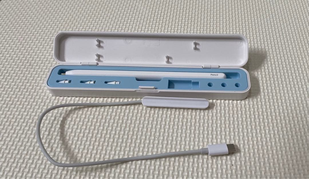 iPad Pro 12.9インチ (第6世代) - 限定保証付き