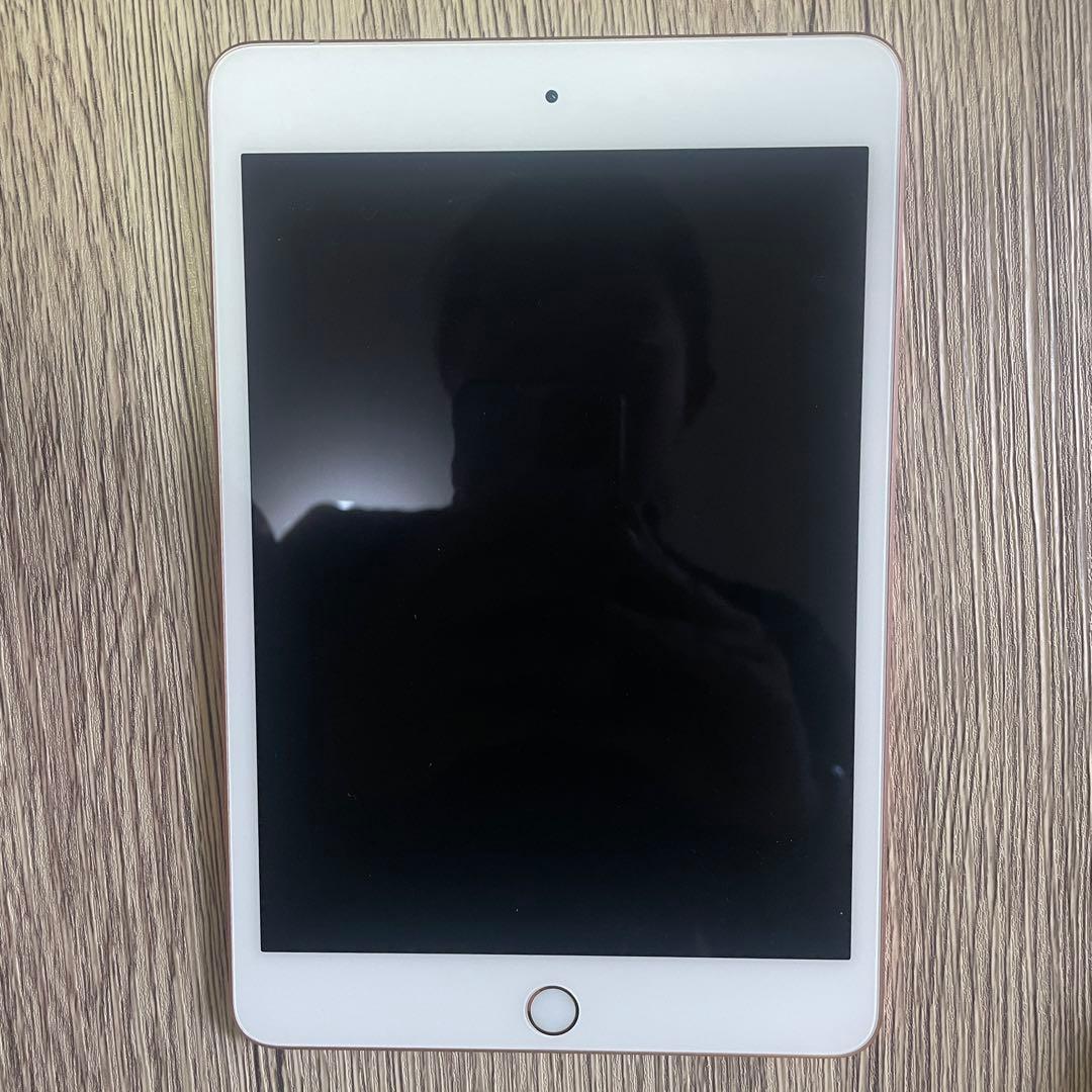 ipad mini 7.9インチ第5世代　256GB ゴールド　wifi +4G