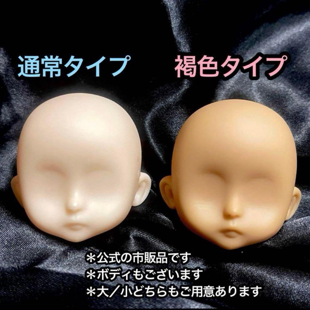紫苑