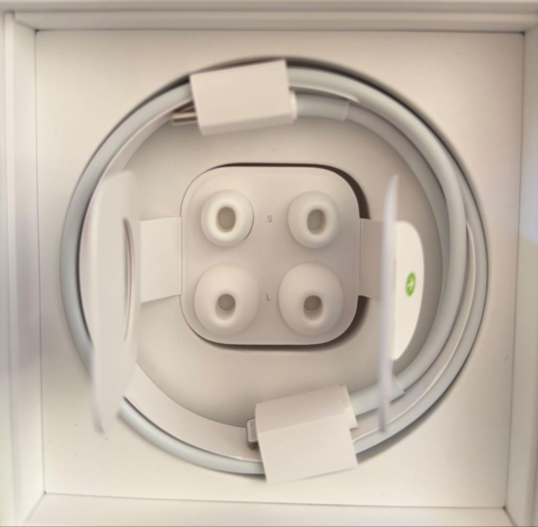 美品 AirPods Pro 本体 第1世代