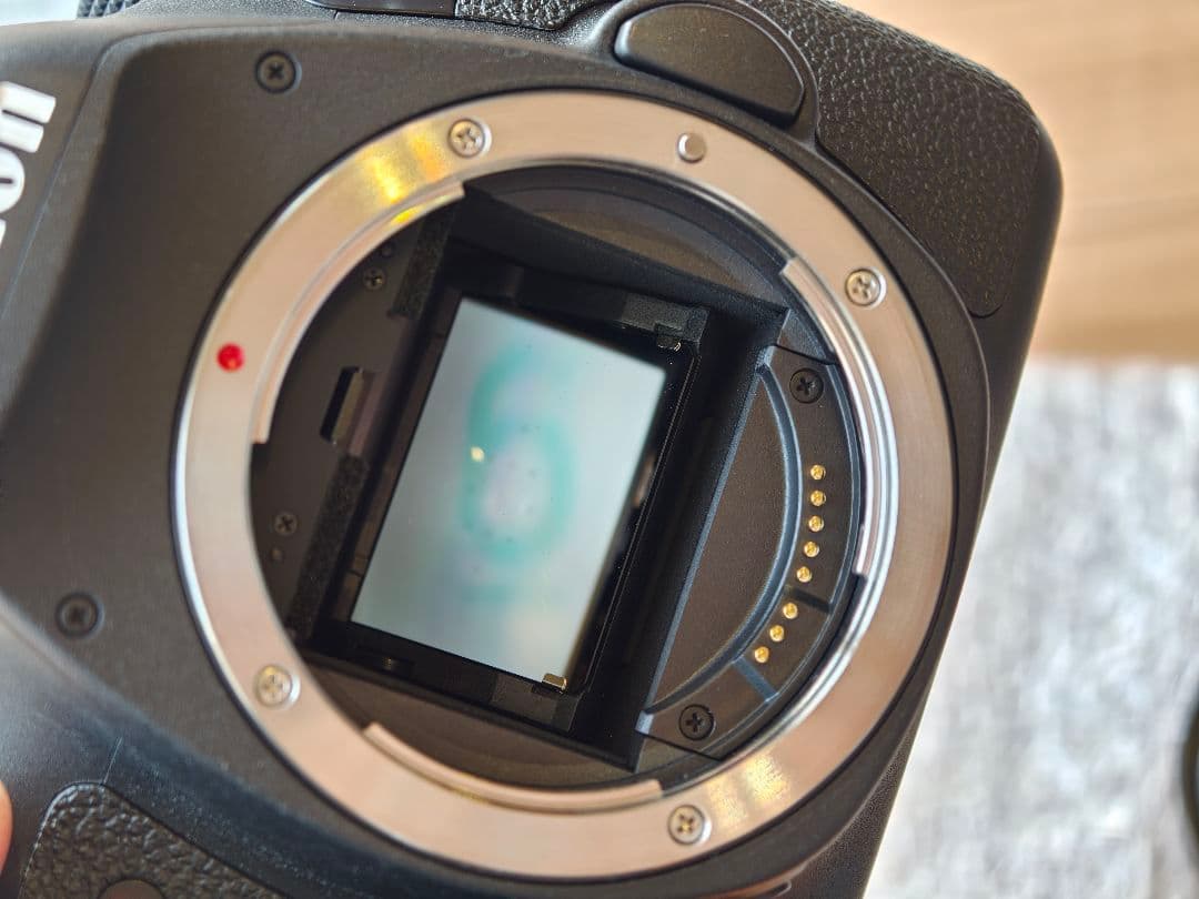 【希少・美品】Canon EOS 6D【フルサイズ名機】今なお現役、驚きの高画質