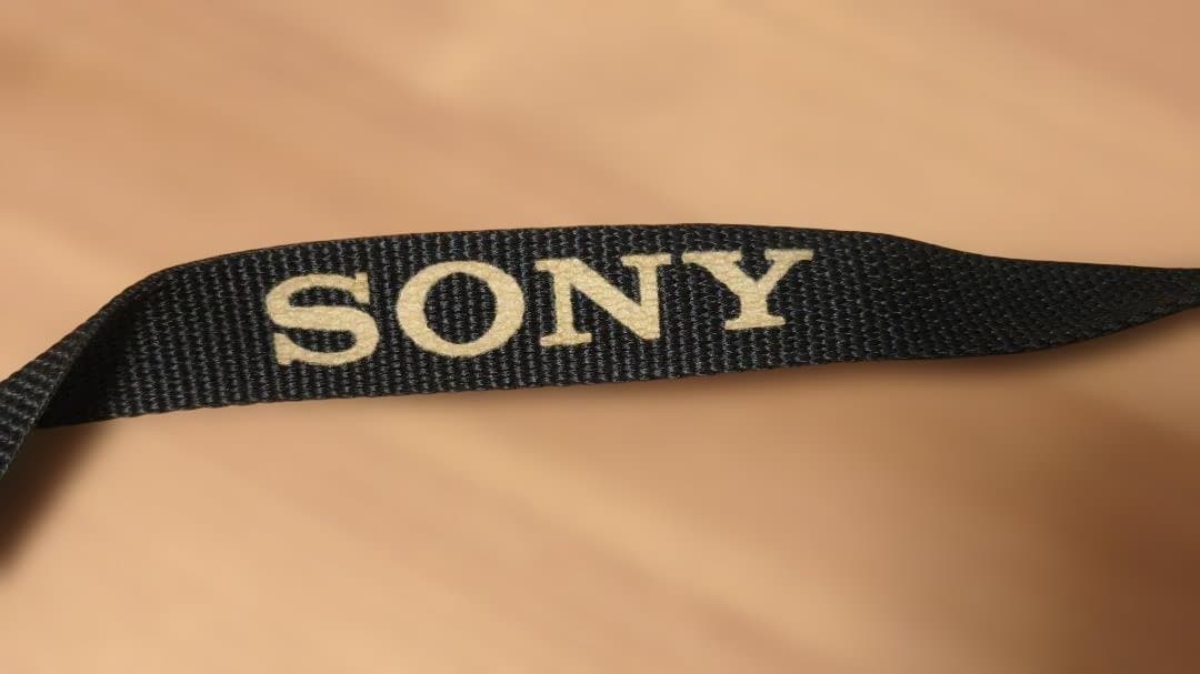 【動作良好】SONY α5100 パワーズームキット★SD/ケーブル付