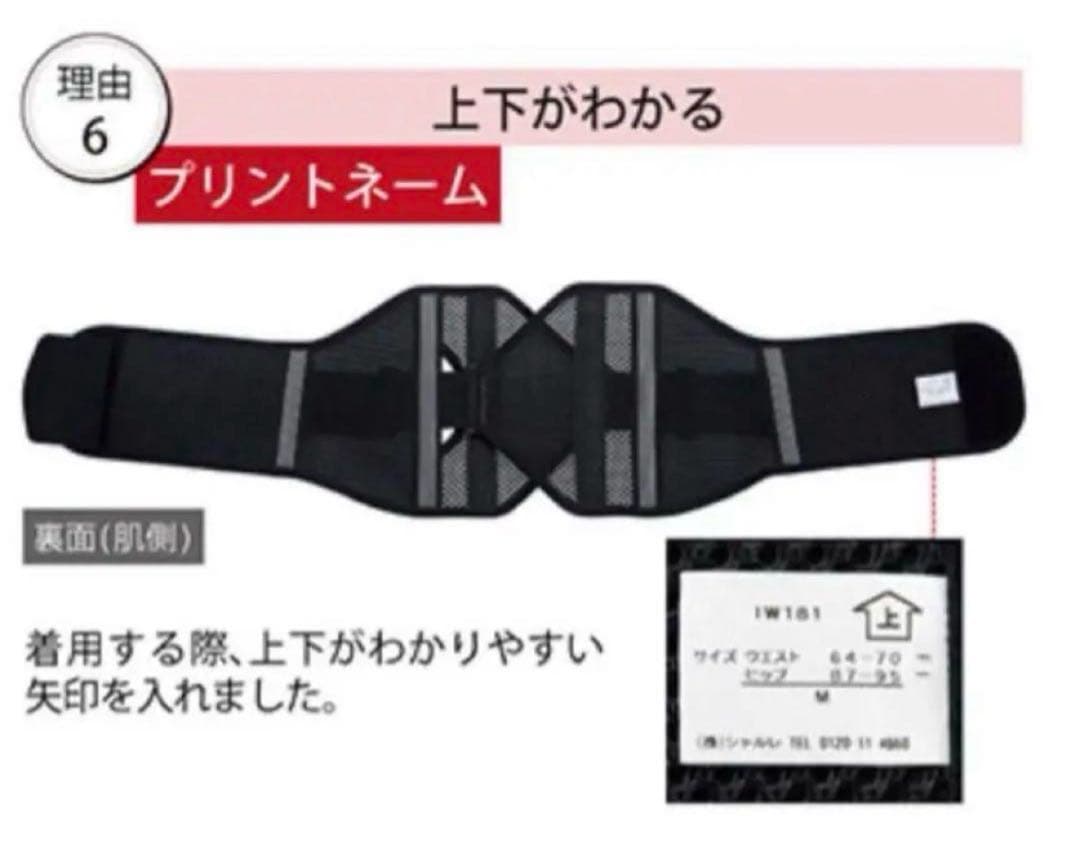 シャルレ　しっかり腰サポーター　LL