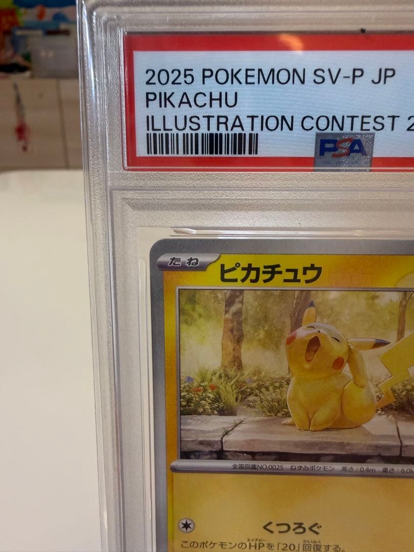 PSA10 ピカチュウ イラストレーションコンテスト 2025 美品