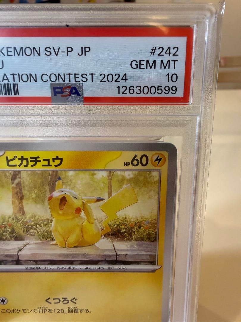 PSA10 ピカチュウ イラストレーションコンテスト 2025 美品