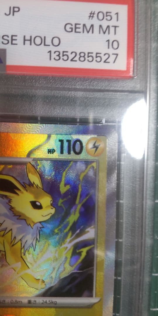 ま*✨様 【PSA10】サンダースSV8aテラスタルフェスex 051/187マ