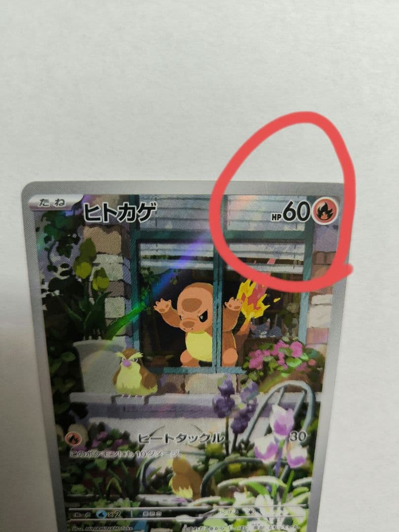 ヒトカゲ　AR