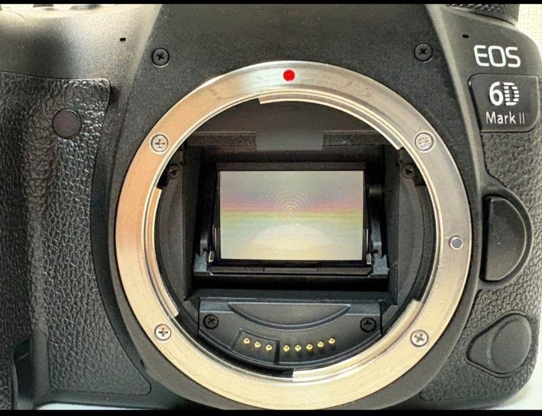 Canon EOS 6D Mark II 本体と付属品