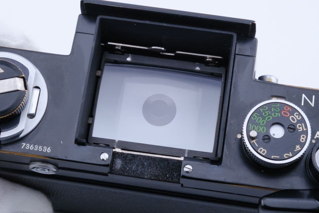 フィルム実写あり Nikon F後期 + Auto 50mm F2