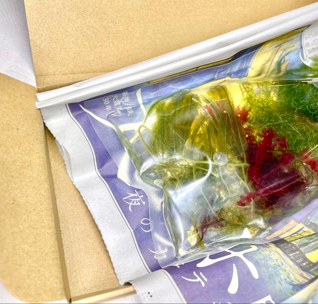 【匿名配送】　海藻　ドラゴンブレス　& 紅藻4種　現品同等品