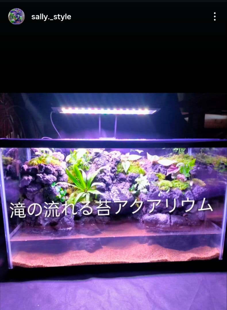 Manaページ