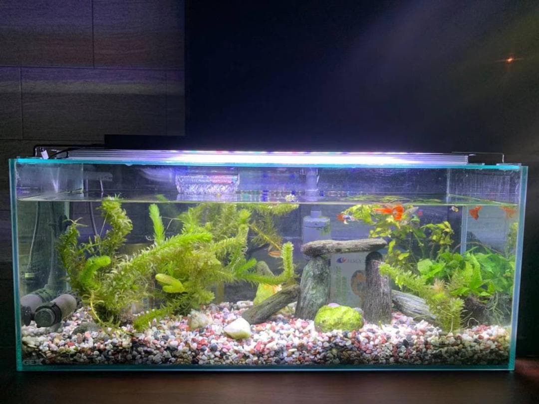 ドラちゃん 　2台LED 水槽 アクアリウムライト 45cm～60cm