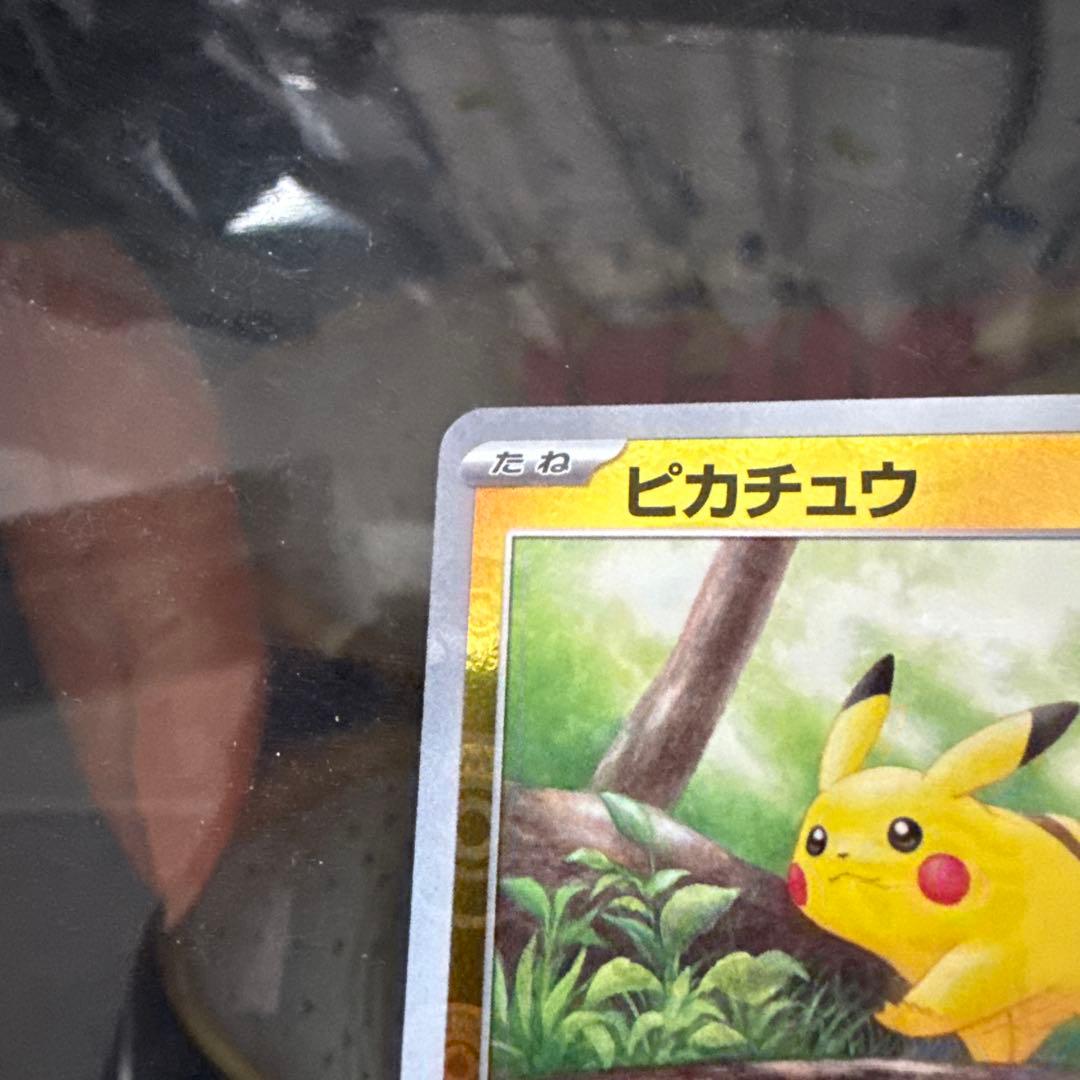 【美品】マスボピカチュウ C SV2a ポケモンカード151 025/165
