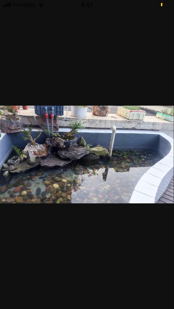三段式濾過装置大型水槽用沈殿物理生物一体型濾過槽外部式 器水槽濾過試しろ材付き